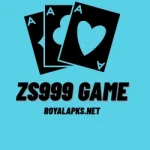 ZS999 Game App Downlaod for Android